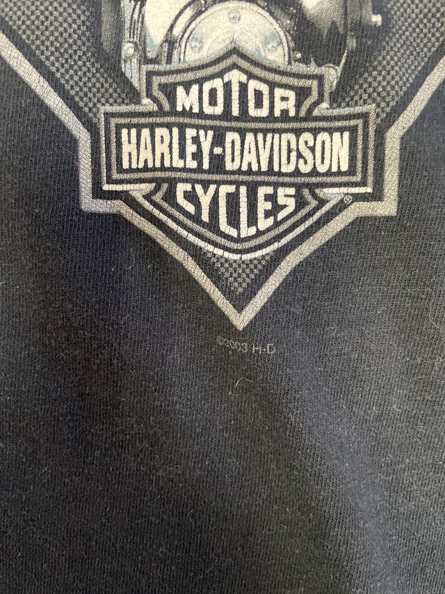 Vintage 2003 Harley Davidson Gdansk, Poland Holoubek Shirt L